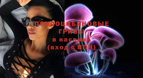 тгк Алзамай