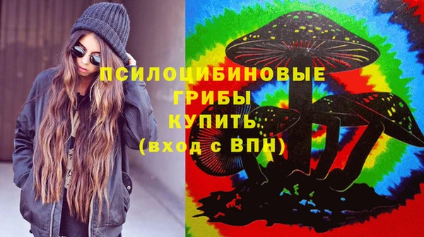 прущие крисы Алексин