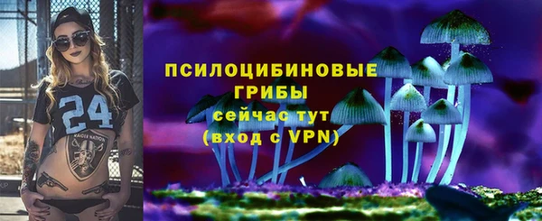 тгк Алзамай