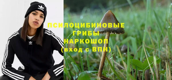 прущие крисы Алексин