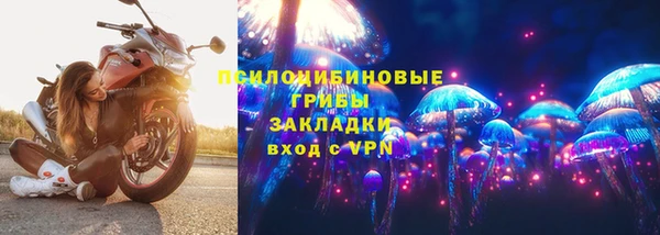 ALPHA-PVP Алексеевка
